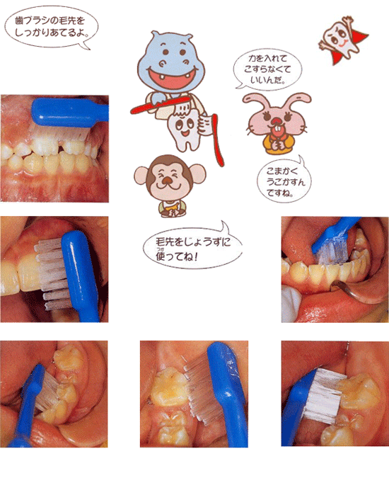 歯みがきのしかた