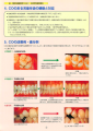 歯・口腔の健康診断パネル2