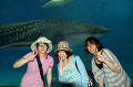 s-IMG_0920.jpg